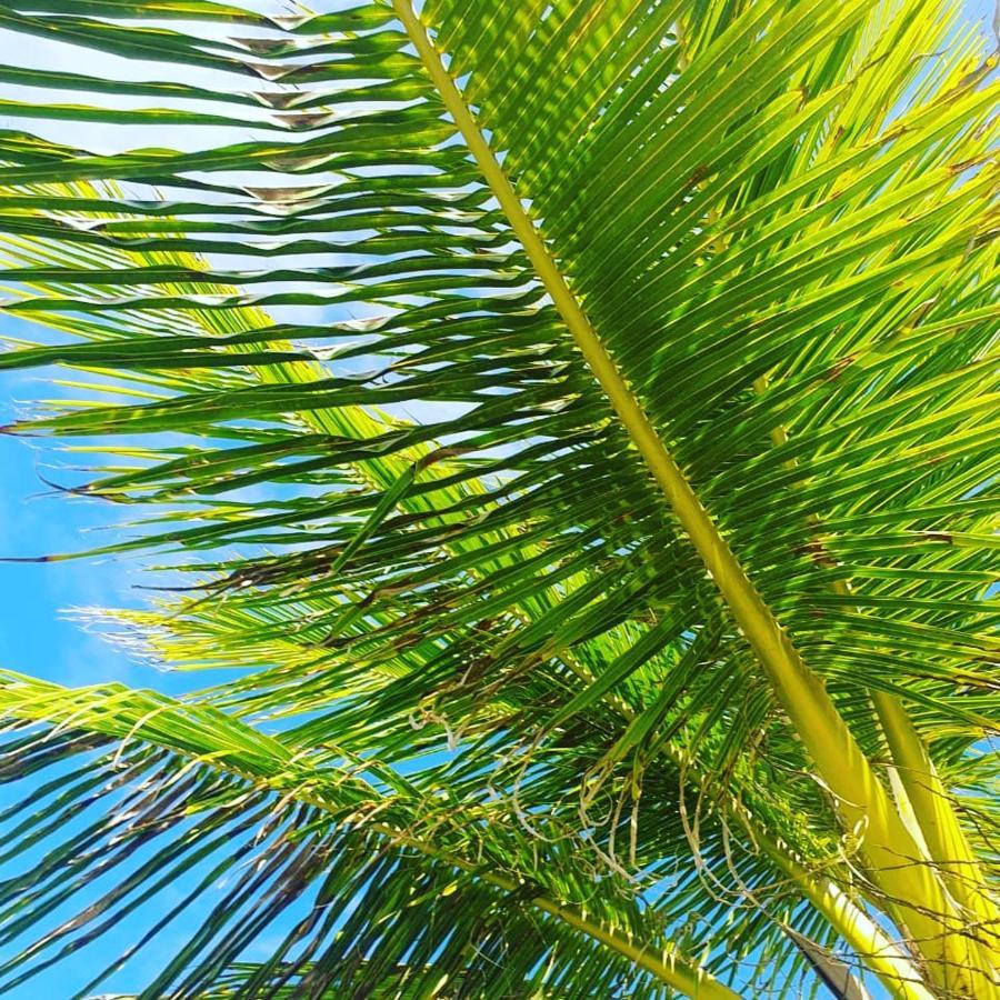 Praia De Itacimirim, Pe Na Areia Экстерьер фото