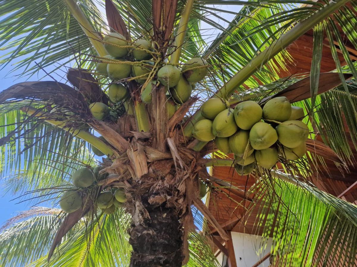 Praia De Itacimirim, Pe Na Areia Экстерьер фото